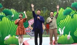 无锡烟花节爆料视频最新,璀璨烟花点亮夜空